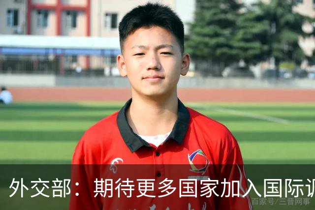 外交部：期待更多国家加入国际调解院
